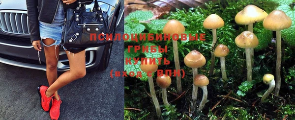 синтетический гашиш Алексеевка