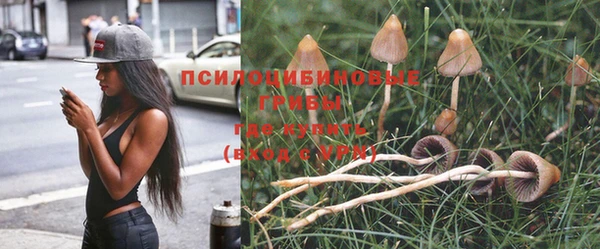 синтетический гашиш Алексеевка