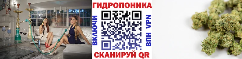 Бошки Шишки OG Kush Котельники